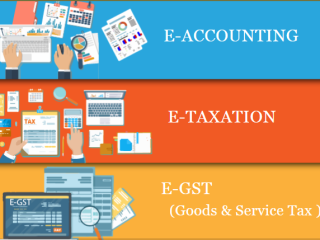 the-rise-of-remote-accounting-jobs-why-an-accounting-course-is-key-in-2025-100-job-accounting-course-in-delhi-with-job-110011-by-sla